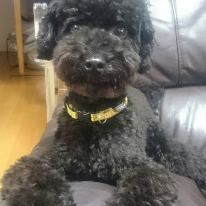 Ee4dbd74 c4e8 4056 945d 8f3270223f23