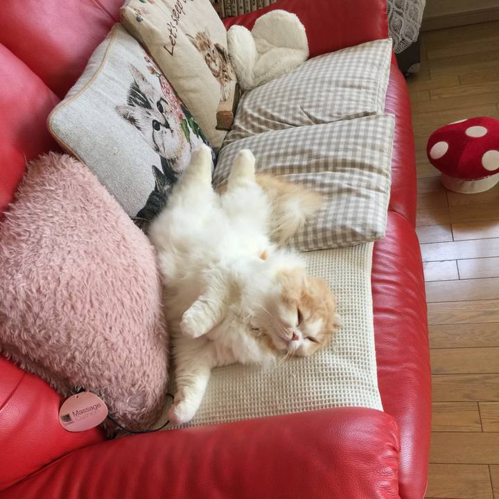 Ee4e0d24 888d 4fbd 8820 f6a69f559ff2