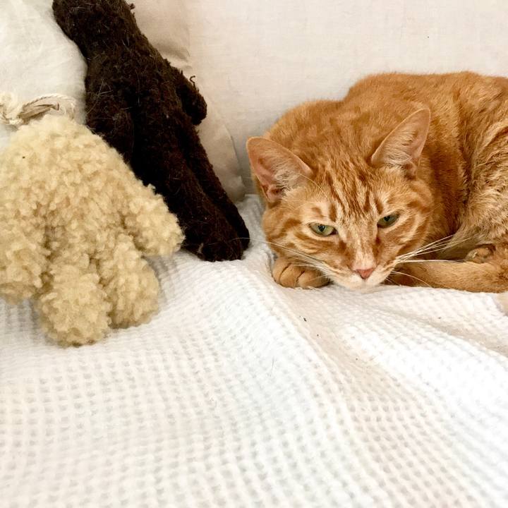 Ee4e2729 fb62 41c8 9142 be72490e2aee