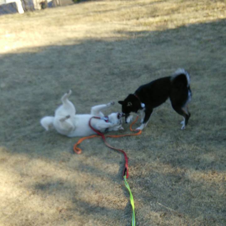 Ee4e4d47 3d13 4964 8c21 8fd3e0724e36