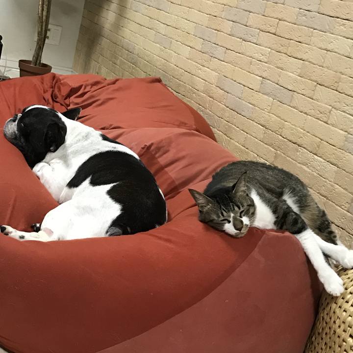 Ee4e74bd af36 473f aa8e b22a1fee7c74