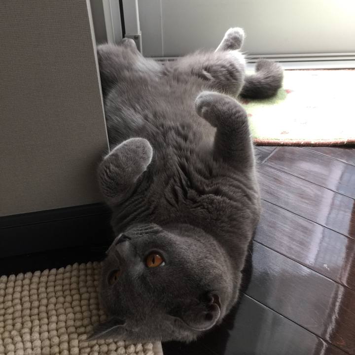 Ee4faa81 c740 4d09 99ec 3c590a7b74e8