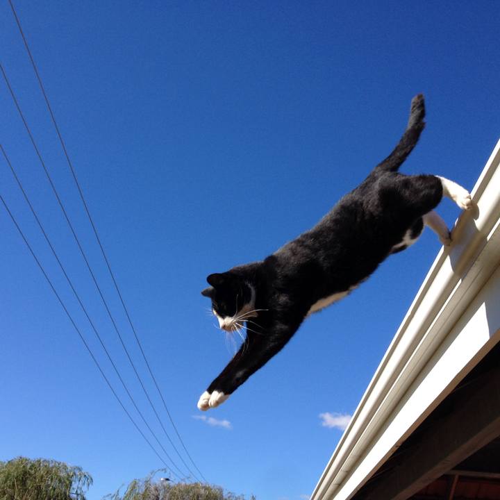 Ee4feaa5 9dd6 4c0e b8b0 e61f00dd63f4