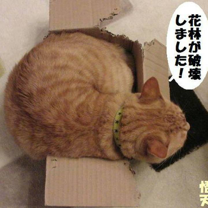 Ee507a5f 8d5f 479c b6f3 08aedd18f063