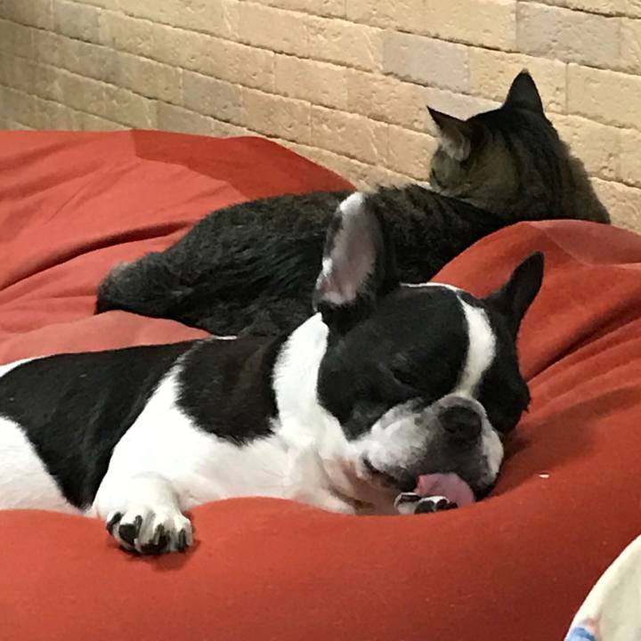 Ee507de7 36e9 4daa 8ec7 21ebfbb7de0d