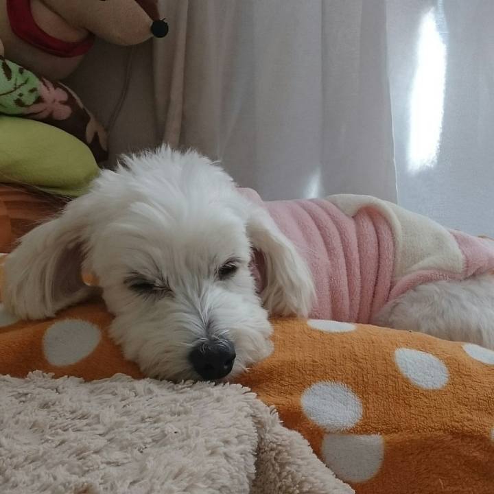 Ee50ec74 19ea 4eae a750 438425aaf613