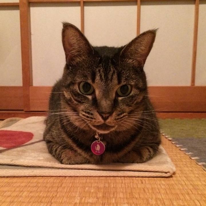 Ee51b735 cbc2 490c 9ac8 880f29618c0c