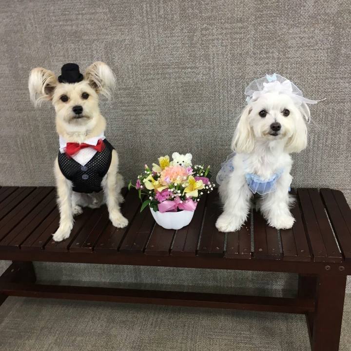 Ee51b8aa 018f 4890 854e 575e7c4c37c9