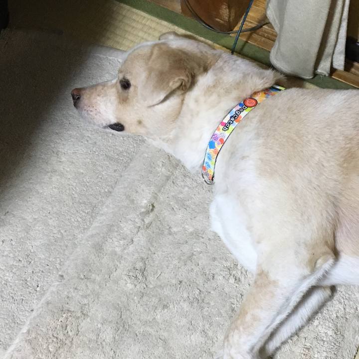 Ee523330 c941 4706 97b2 4d90575f23f7