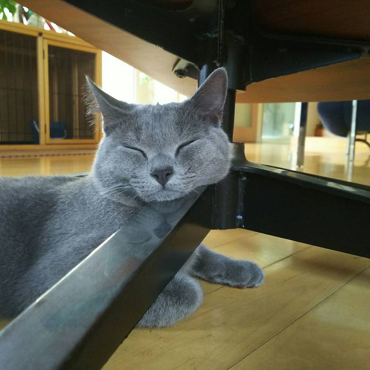 Ee528bb0 6654 412c bf3b 4972417e723e