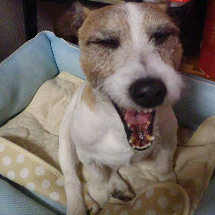 Ee52dd2c 6d0b 411c 87c6 dce82189bb5b