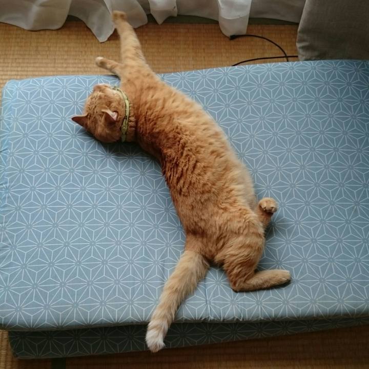 Ee52fb8b e07a 4633 a1f4 a55286b04b20