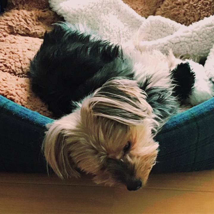 Ee540e3f b121 41df 80df 6ef42da8bc41