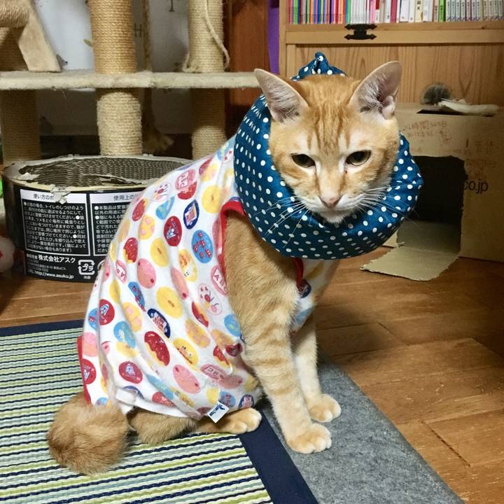 Ee5429a6 2056 4edb b573 c24e671eaa53