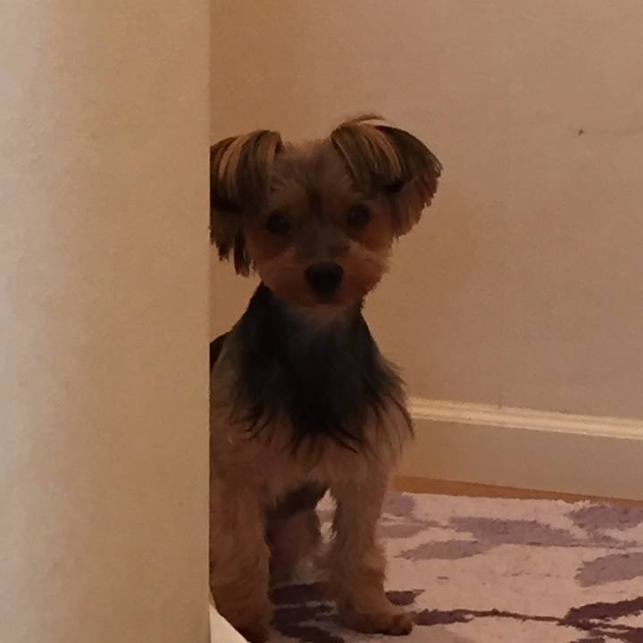 Ee545d1c 8604 4c36 a42a 89cf66e479fd