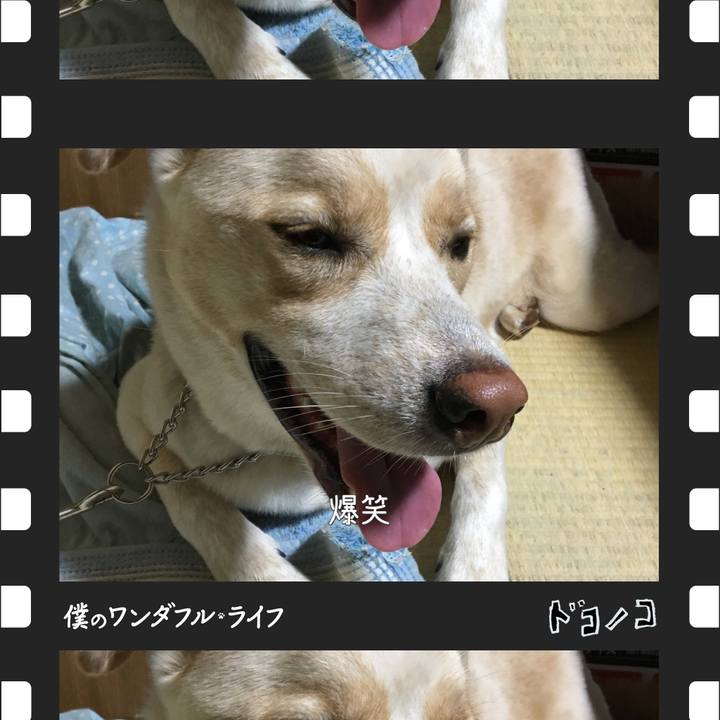 Ee548d7e 16ac 4c5f b66e 13e3a202df4d