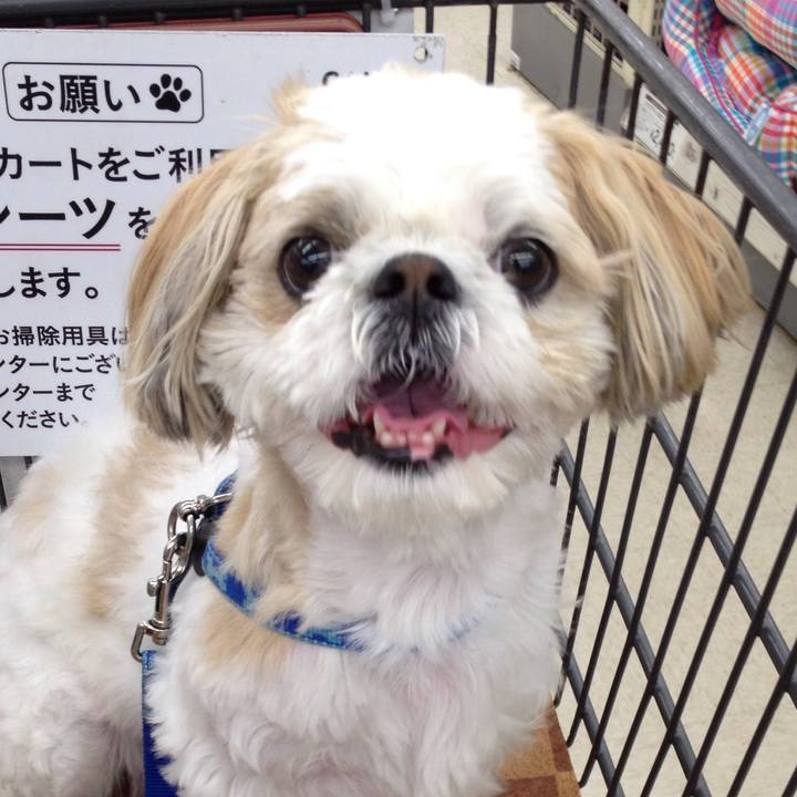 Ee549f1a c383 4f64 b925 b6d9da3db836