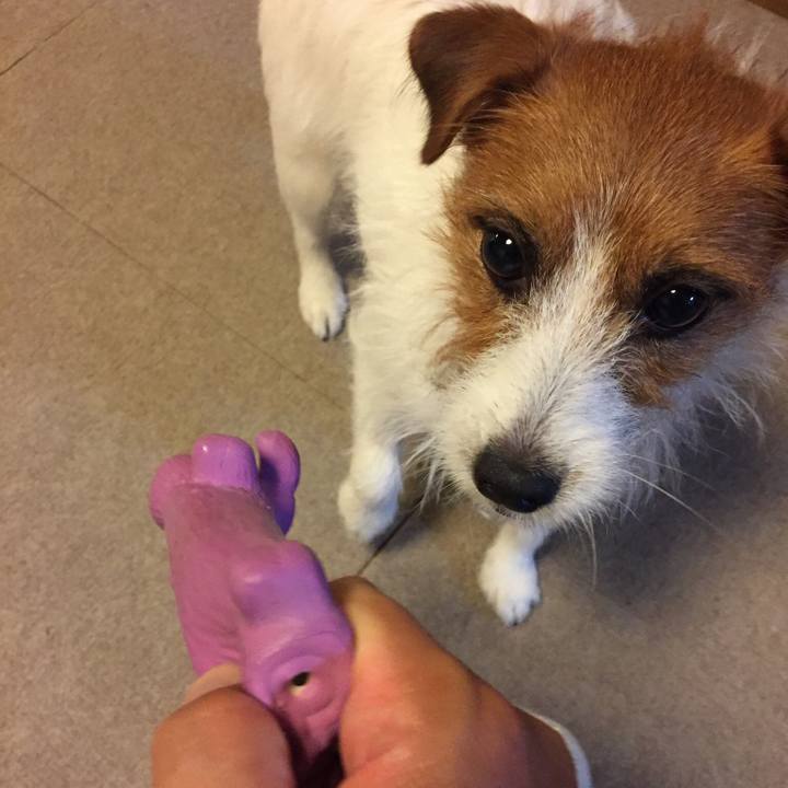 Ee550562 5009 4ae7 8bc4 8d1a7cfdb9c9