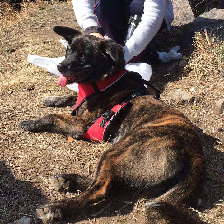 Ee551229 db9f 4270 9a75 79e175fa0c2f