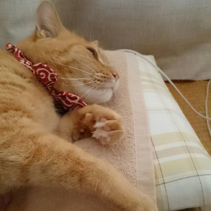 Ee55f12f e526 4a4d 95d6 705bb6be6329