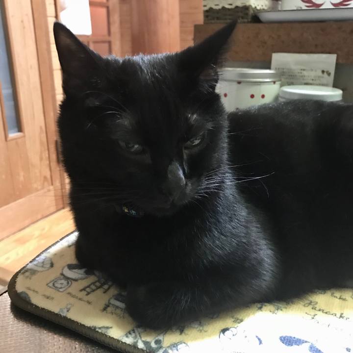 Ee55fd48 afea 4ea0 9122 e43e47f698a4