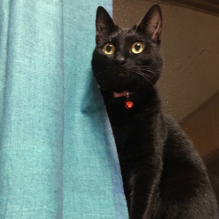 Ee562512 56d1 408f a70d 46e294cb9ca9