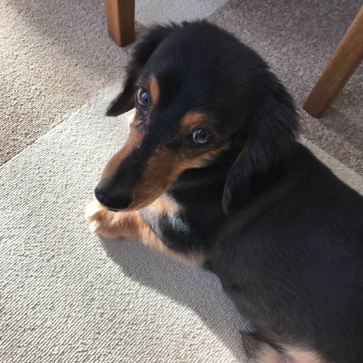 Ee5636c5 2e78 438e a2c3 1be95dc66754