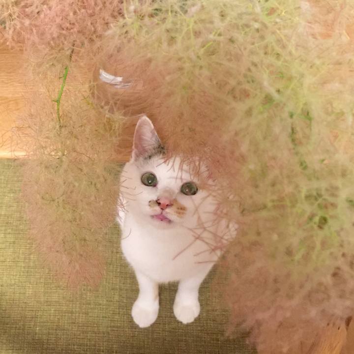 Ee563df8 dfa7 417f a1a1 1795cd225a28