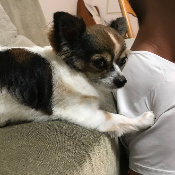 Ee566dea 6ac5 44b2 b92d 9638c9dd5bed