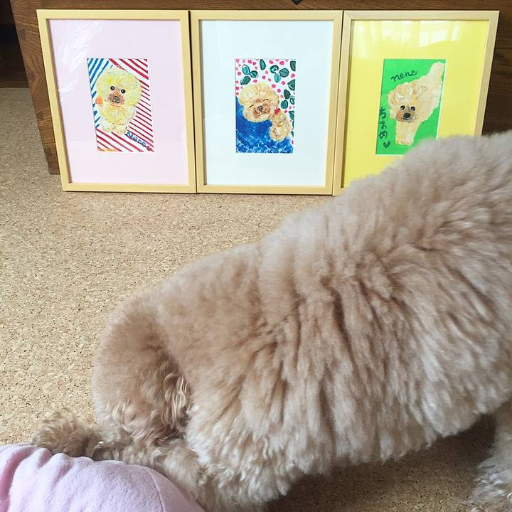 Ee56d313 63fd 4834 8707 e6d925e7d5a5