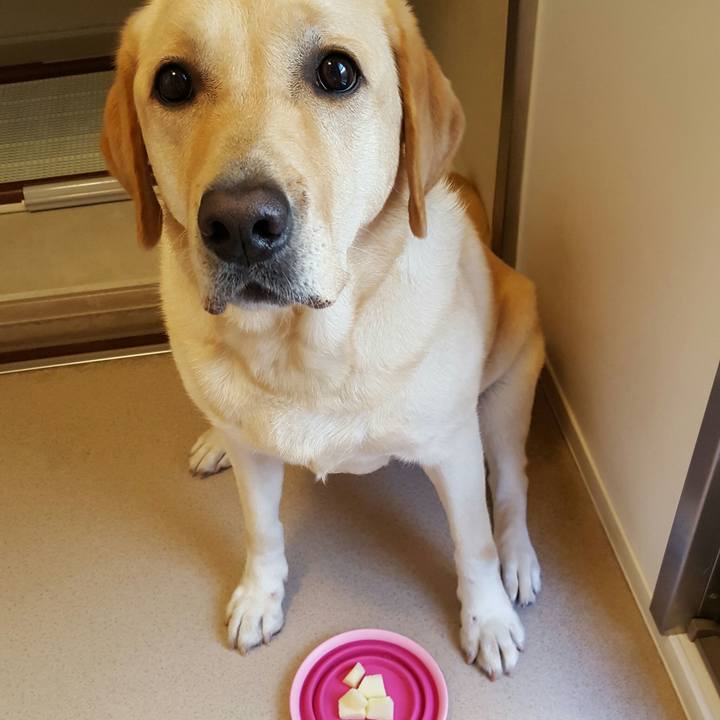 Ee5744ad 0276 4a65 bead 9cdc3d6bbaf1