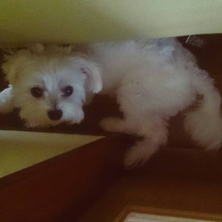 Ee575172 4bf4 46f0 bf5d 44d77aaca596