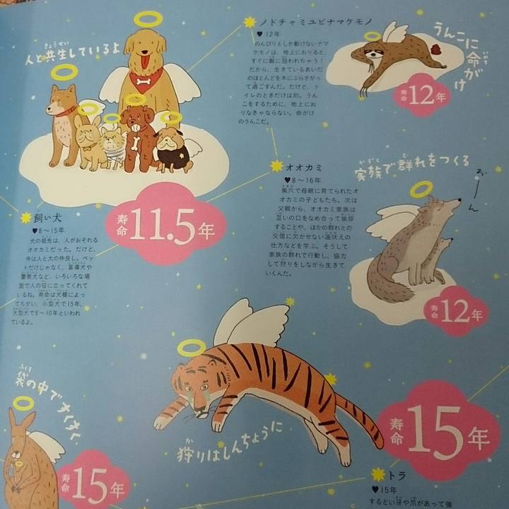 Ee575542 4609 4296 8fca a0f3c575cc94