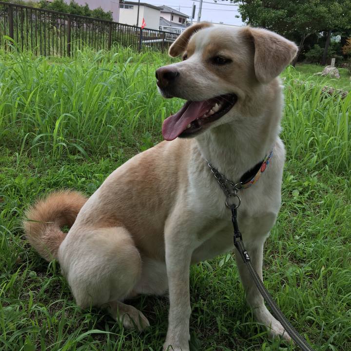 Ee5774a0 791f 46a0 b4b9 6a64ac82a23c