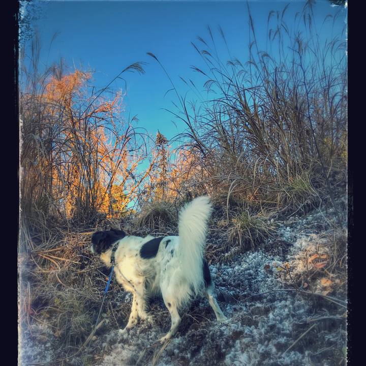 Ee57866f 683d 44d3 bc5e 51de495d2ff1