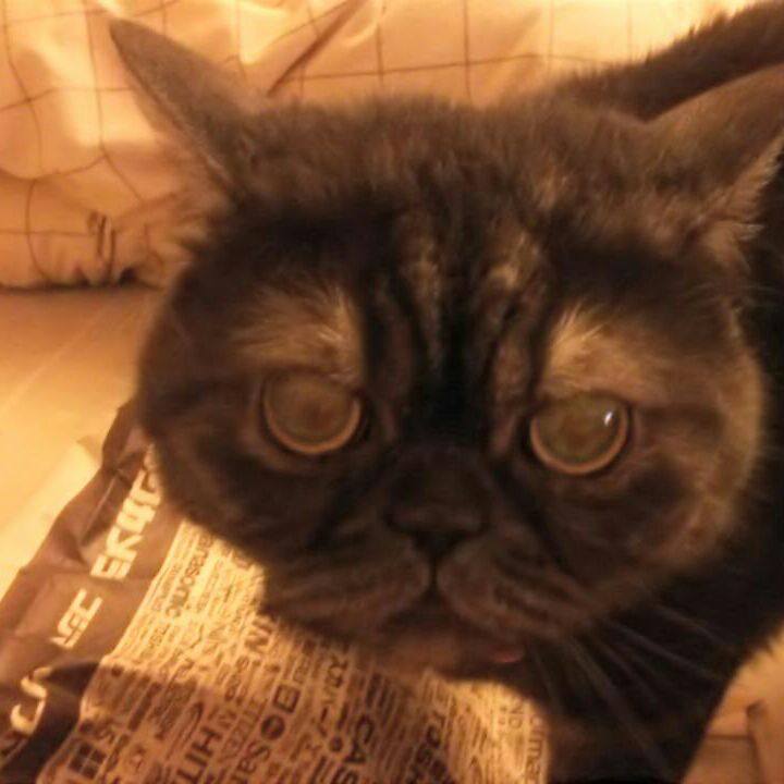 Ee5787d6 24db 44b2 82dd 1d1a5932267f