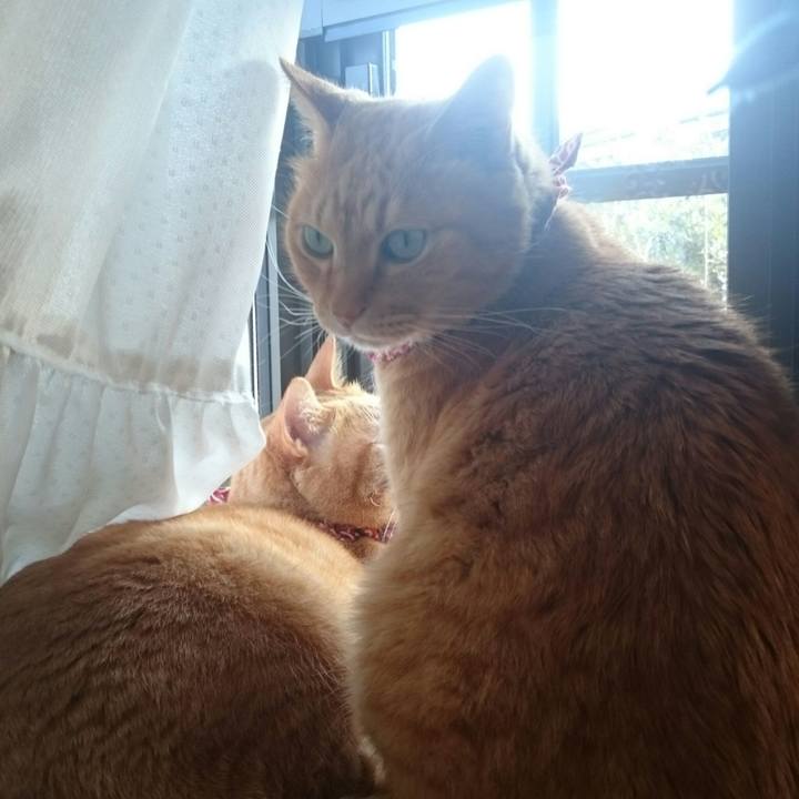 Ee57cf78 825c 4d9d 9dde ffd601724e9d