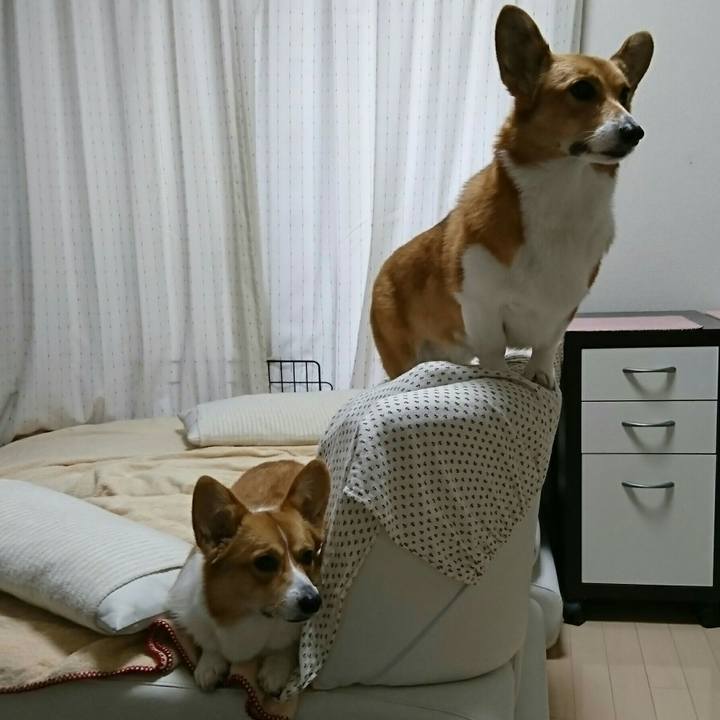 Ee57d666 e75d 41e6 b8f0 def1f4e44713