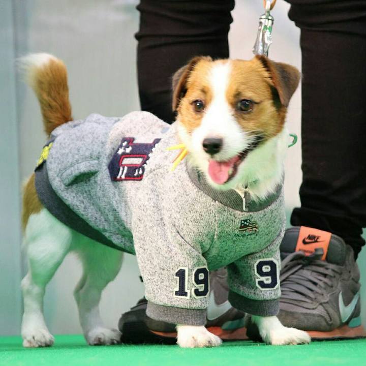 Ee585635 cf7a 47a3 af93 4f42b3996310