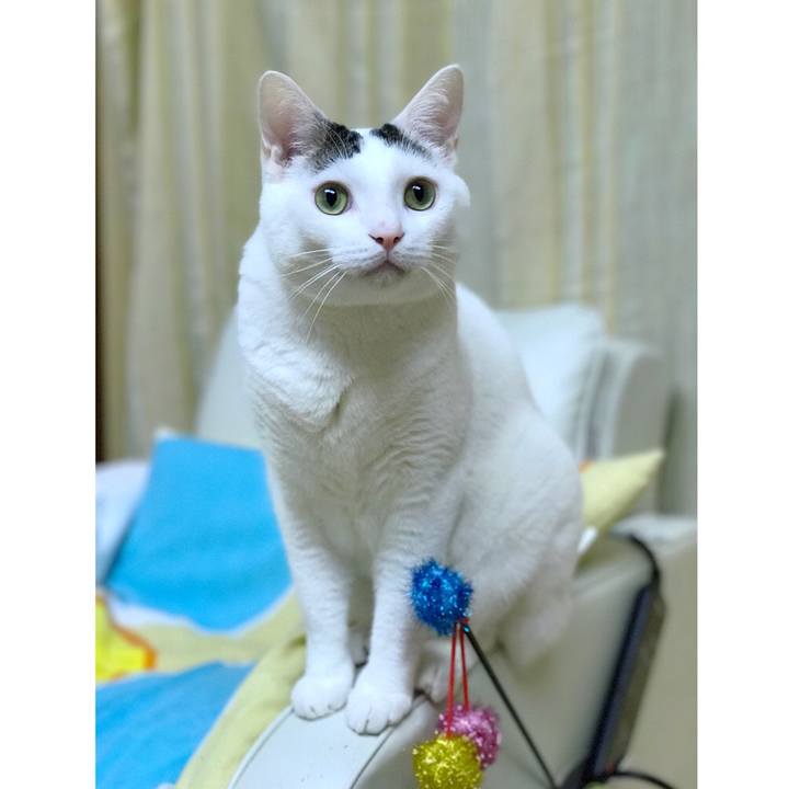 Ee597198 bed1 4b83 9add 0a4fc5021c28