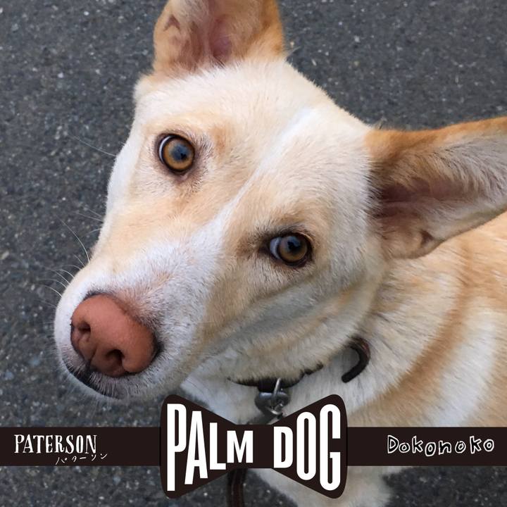 Ee5993c6 6262 499e 93b0 0499b1e2a369