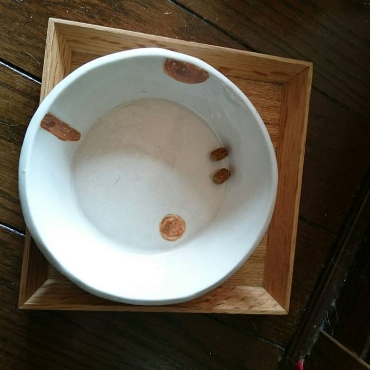 Ee59c343 a30d 460f 9e6e 5bcbb2adf888