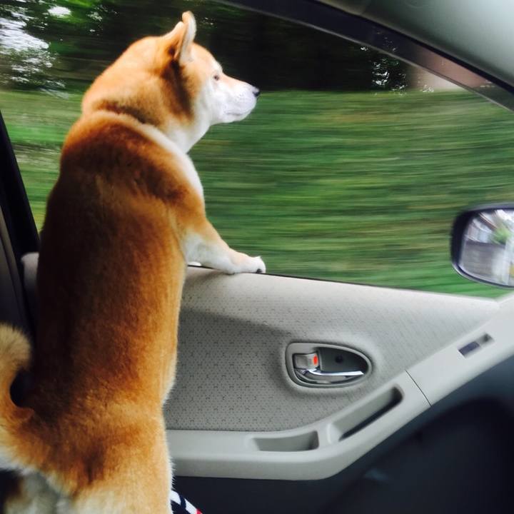 Ee5abf64 d6b7 4c64 bce1 e8ae0b956448