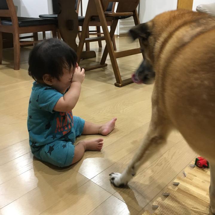 Ee5ae78c a460 4098 915d 5384cf937f40