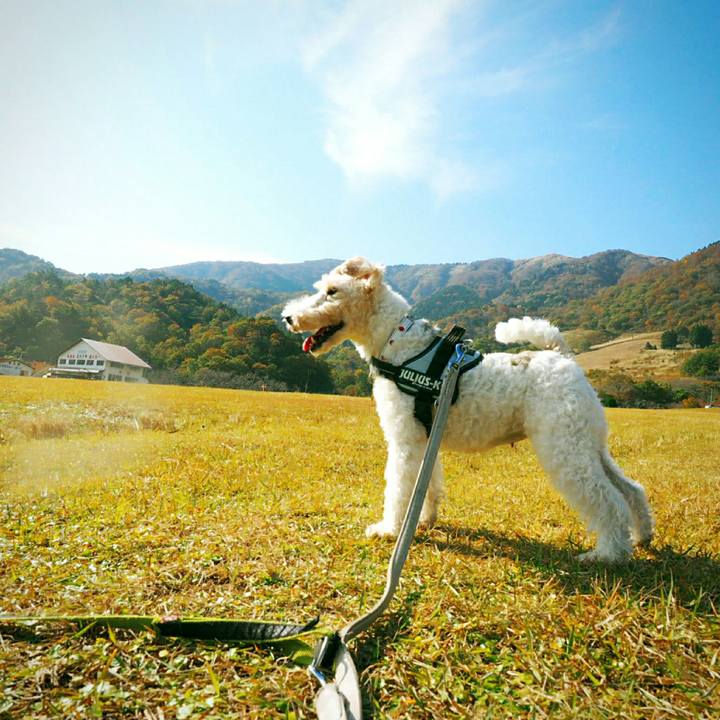 Ee5b359f 71a2 4ea6 ba86 7256983dbfcb