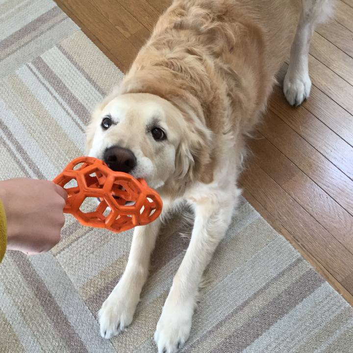 Ee5bb916 c8f9 4a3b 9719 f16656246996