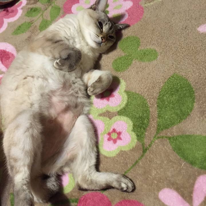 Ee5c1b52 8b1a 4db3 a5bb 48c77a009b01