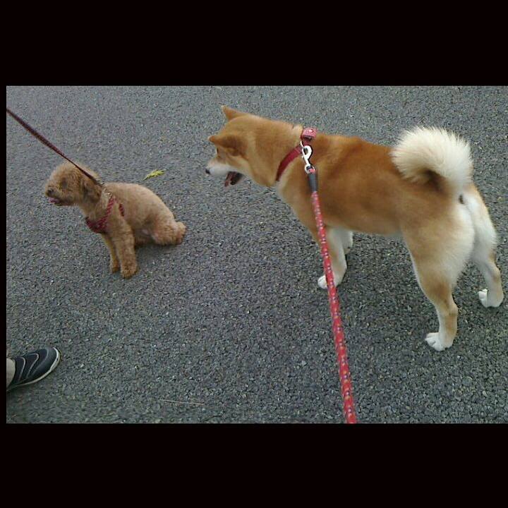 Ee5c32a3 3678 4f09 bc93 1b41c12608f0