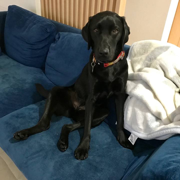 Ee5c5570 9328 4e1b 9e19 268730eecb2a