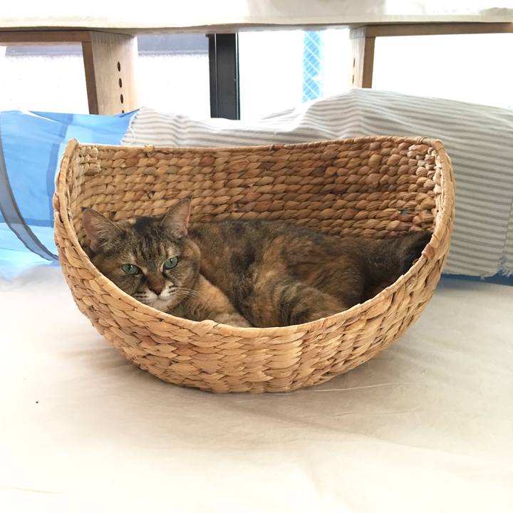 Ee5c656f 63d6 437a 81ac a59d914eb8bd